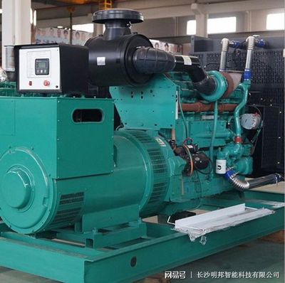 邵陽京都偉業房地產公司安裝明邦400kw東風康明斯發電機一臺
