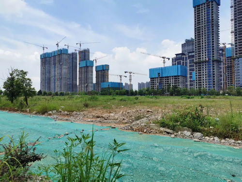 長沙 房住不炒 真相調(diào)查 收入漲幅跑贏房價,剛需很幸福,炒房客最尷尬