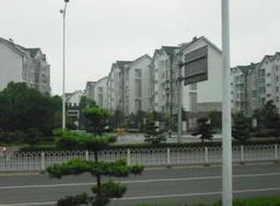 ,長沙市岳麓區租房 長沙城市房產