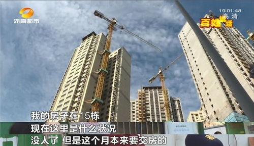 臨近交房,公共區(qū)域 差得遠(yuǎn) ,業(yè)主 新房何時能交付